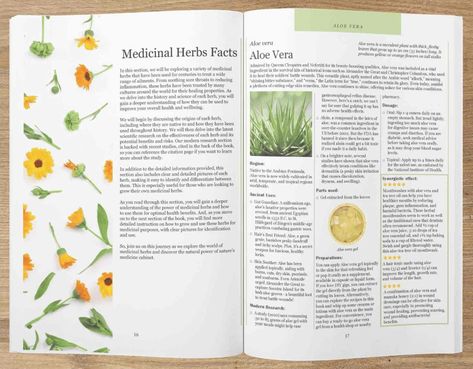 Ancient Remedies, Medicine Garden, Garlic Supplements, Medicinal Herbs Garden, Harvesting Herbs, Connection With Nature, Homemade Remedies, Herbal Blends, Raised Bed