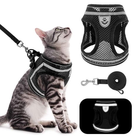 Pet Supplies : PUPTECK Breathable Cat Harness and Leash Set - Escape Proof Cat Vest Harness, Reflective Adjustable Soft Mesh Kitty Puppy Harness, Easy Control for Outdoor Walking : Amazon.com Kitten Harness, Cat Harness And Leash, Harness And Leash Set, Adventure Cat, Puppy Harness, Cat Backpack, Cat Harness, Dog Vest, Pet Harness