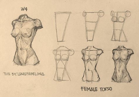 Learn How “I” Draw Female Torso in Three different angles: How Body Drawing, Drawing Women Bodies Tutorial, Learning To Draw Bodies, Angles For Drawing, Drawing Body Types Female, Women’s Anatomy Drawing, Person Sitting At Table Drawing, Torso Reference Woman, Different Female Body Types Drawing