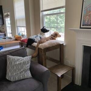 Elevated Dog Bed - RYOBI Nation Projects Dog Bed Window Bench, Elevated Dog Bed For Window, Window Seats For Dogs, Diy Dog Perch, Dog Bed By Window, Dog Window Perch Diy, Diy Dog Perch Window Seats, Dog Bed Window Seat, Diy Dog Window Seat