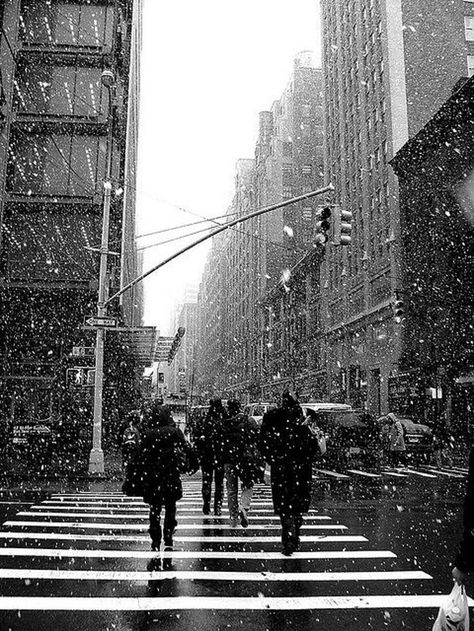 November Wallpaper, Wallpaper Winter, Black And White Photo Wall, Black And White Picture Wall, Black And White Aesthetic, City Street, Concrete Jungle, Winter Aesthetic, Black And White Pictures