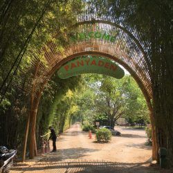 Bamboo Cocoon / Bamboo Architecture Bamboo Arch, Hydroponics Setup, Farm Dream, Earth Architecture, Bamboo Roof, Bamboo Building, Bamboo House Design, Backyard Seating Area, Bamboo Structure