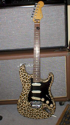 guitar Behind Blue Eyes, Electric Guitar Design, Guitar Obsession, Mazzy Star, Cool Electric Guitars, I'm With The Band, Guitar Design, Cool Guitar, Cool Stuff