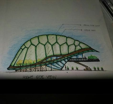 #turtles Turtle Building Concept, Turtle Inspired Architecture, Organic Architecture Drawing, Turtle Concept Architecture, Turtle Architecture, Organic Architecture Concept, Animal Architecture, Surfboard Painting, Magazine Design Cover