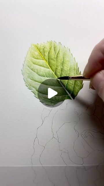 Abstract Watercolor Flower, Watercolor Paintings Of Animals, Learn Watercolor Painting, Rose Leaf, Botanical Flower Art, Watercolor Flowers Tutorial, Flowers Illustration, Paint Night, Artist Brush