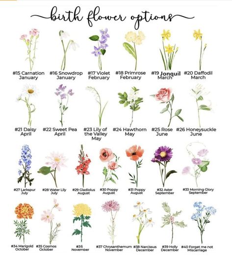 Wildflower Types, Types Of Wild Flowers, Tatoo Inspiration, Clover Tattoos, Graffiti Writing, Flower Meanings, Birth Month Flowers, Ideal Wedding, Plant Mom