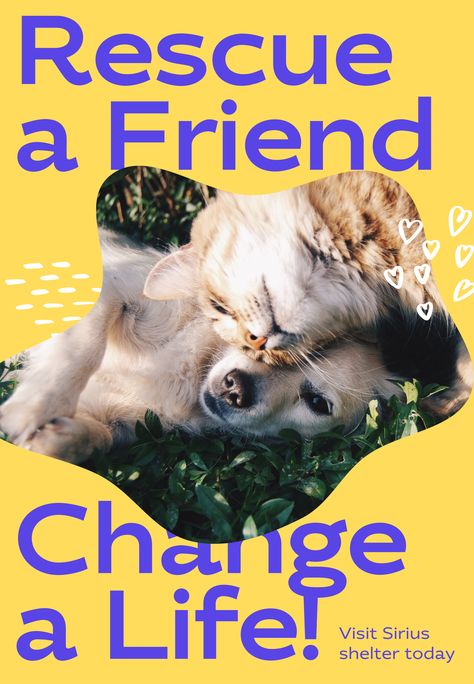 Friends Change, Animal Shelter, Animals, Design