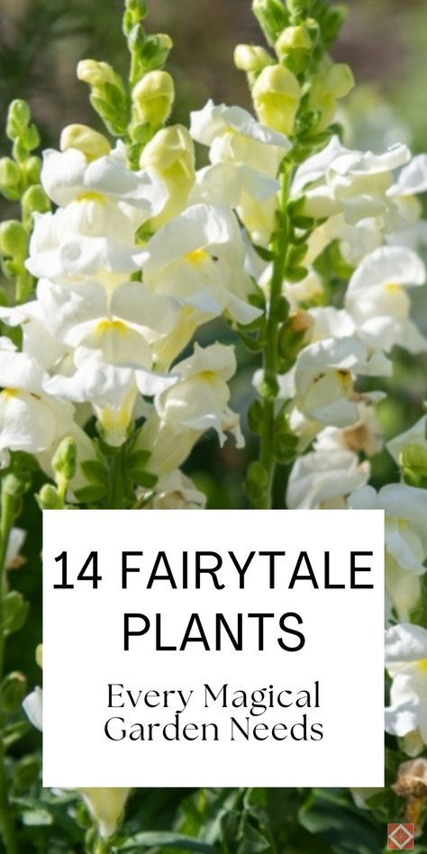 Every magical garden needs these 14 fairytale plants. From mystical flowers to charming foliage, these plants will create an enchanting garden space. Save this pin for later and click to discover how to add fairytale magic to your garden! Witchy Garden Plants, Green House Flowers, Unusual Garden Ideas, Witches Garden Plants, Bedroom Garden Ideas, Secret Garden Aesthetic Dark, Royal Garden Aesthetic, Witchy Garden Ideas, Dream Garden Fairytale