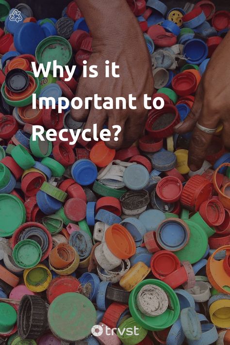 Plastic Waste Recycling, Why Recycle, Benefits Of Recycling, Importance Of Recycling, Scrap Recycling, Environmentally Friendly Living, Waste Recycling, Plastic Recycling, Your Trash