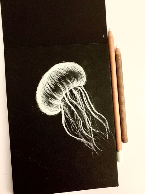 Sketched using a white soft pastel pencil. #sketch #dailyart #blackpaperdrawing #pasteldrawing #jellyfish #drawingideas How To Draw Realistic Jellyfish, Jelly Fish Drawing Sketches, Jellyfish Sketch, Gcse Art Sketchbook Jellyfish, Sketchbook Ideas Jellyfish, Jellyfish Drawing On Black Paper, Pen Drawing Jellyfish, Jelly Fish Painting Black Canvas, Pencil Sketch Tutorial