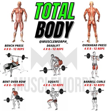 Barbell Workout Mens, Full Body Workout For Men, Exercises For Men, Full Body Weight Workout, Gym Workout Guide, Whole Body Workouts, Full Body Workout Routine, Barbell Workout, Workout Routine For Men