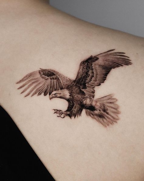 Sea Eagle Tattoo, Fineline Eagle Tattoo, Meaningful Tattoos For Men Unique, Steve Tattoo, Eagle Shoulder Tattoo, Bald Eagle Tattoos, Small Eagle Tattoo, Meaningful Tattoos For Men, Small Animal Tattoos