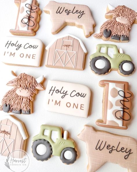 Royal Icing Sugar Cookies, Cowboy First Birthday, Icing Sugar Cookies, Baby First Birthday Themes, Rodeo Birthday Parties, Cow Birthday Parties, Barnyard Birthday Party, Royal Icing Sugar, Farm Themed Birthday Party