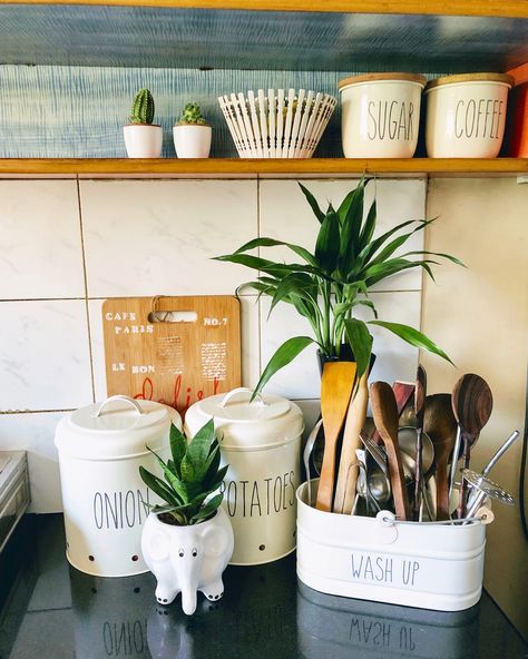 Kitchen Setup Ideas, Fridge Top Decor Ideas, Fridge Top Decor, Minimal Kitchen Decor, Navy Living, Vintage Kitchen Gadgets, Vibey Room, Kitchen Decor Collections, Kitchen Setup