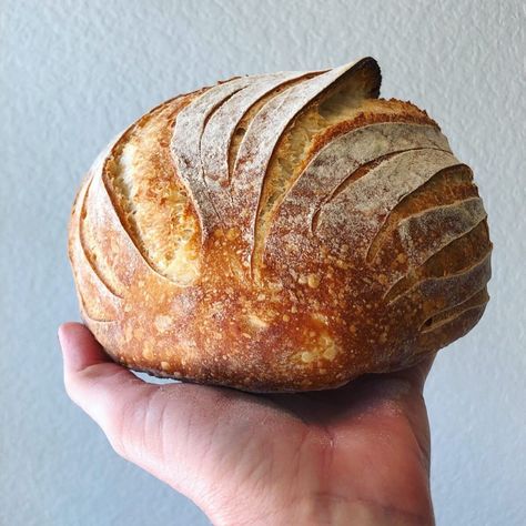 Best Sourdough Bread, Sourdough Bread Recipes, Work Online From Home, Sourdough Boule, Bread Desserts, Sourdough Bread Starter, Starter Recipe, Bread Starter, Artisan Bread Recipes