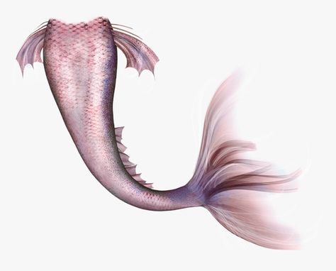 Mermaid Tail Aesthetic, Mermaid Tail Art, Grass Photoshop, Mermaid Collage, Siren Tail, Pink Mermaid Tail, Mermaid Drawings, Mermaid Aesthetic, Mermaid Tale