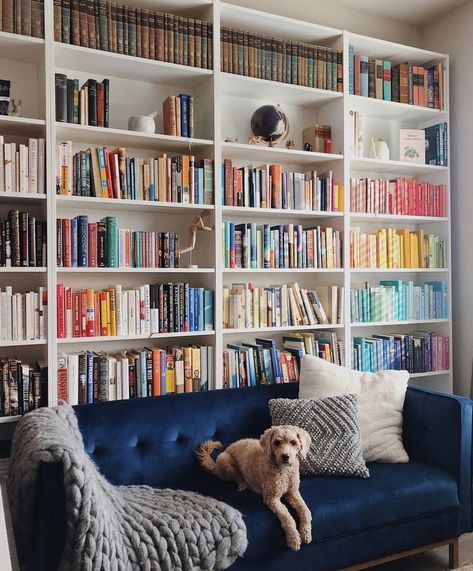 Bookcase Behind Sofa, Library At Home, Behind Sofa, Lounge Room Styling, Home Office Shelves, My Dreams Come True, Library Bookshelves, Kids Bedroom Inspiration, Home Library Design