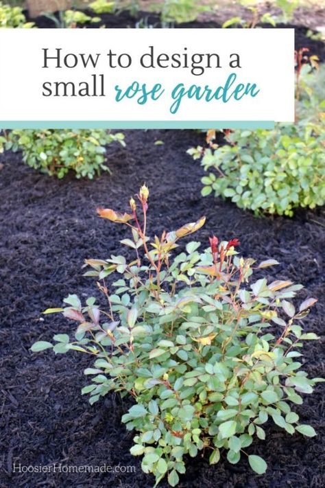 HOW TO DESIGN A SMALL ROSE GARDEN - Learn how to design and plant your own rose garden Small Rose Garden, Rose Garden Landscape, Tattoo Plant, Rose Garden Design, Diy Rose, Garden Wallpaper, Meteor Garden 2018, Magic Garden, Garden Design Plans