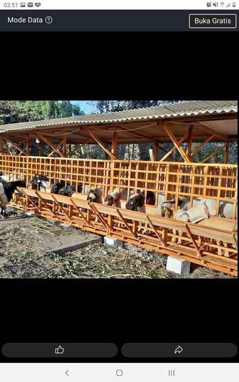 Goats Shelter, Goat Projects, Goat Houses, Poultry Farm Buildings, Backyard Chickens Diy, Sheep Shelter, Bamboo Accessories, Sheep House, Goat Toys