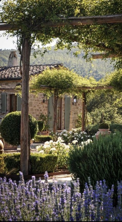 Mediterranean Garden Design, Tuscan Garden, Mediterranean Landscaping, Italian Home, Italian Garden, Mediterranean Garden, Design Garden, Dream Garden, Backyard Garden