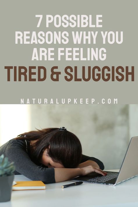 Feeling tired and sluggish slows us down and makes completing basic tasks a chore. Find out the possible reasons why how are feeling tired and sluggish and how to fix it with natural remedies and some lifestyle adjustments #fatigue_causes #feeling_tired_and_sluggish #low_energy Always Tired Remedies, Sluggish Feeling, Tired And Sleepy, Feeling Sluggish, Asthma Remedies, Times Of The Day, Feeling Sleepy, Our Energy, Always Tired