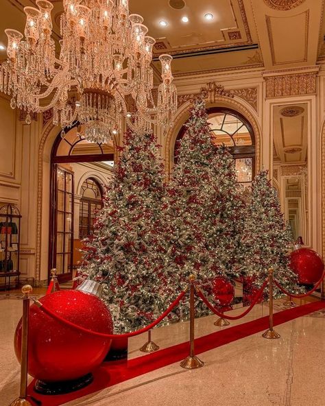 All Posts • Instagram New York Palace Hotel, Lotte New York Palace, New York Christmas Time, New York Photo Ideas, The Plaza Hotel Nyc, Home Alone Movie, Grand Plaza, Christmas Dreaming, New York Winter