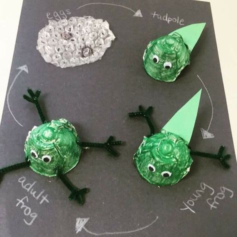 Frog Art Preschool, Frog Life Cycle Craft, Frog Life Cycle Activities, Frogs Preschool, Life Cycles Preschool, Science Life Cycles, Frog Activities, Frog Life Cycle, Life Cycle Craft