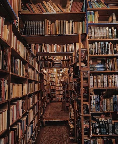 Little Bookstore Lots Of Books, Studera Motivation, Dream Library, Beautiful Library, Library Aesthetic, Foto Poses, Dark Academia Aesthetic, Academia Aesthetic, Home Library