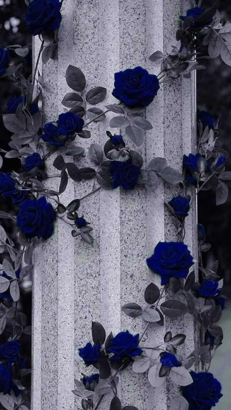 Iphone Esthetics, Beautiful Spine Tattoos, Spine Tattoo Ideas, Blue Roses Wallpaper, Flowers Photography Wallpaper, Pretty Phone Wallpaper, Pretty Backgrounds, Spine Tattoo, Cute Flower Wallpapers