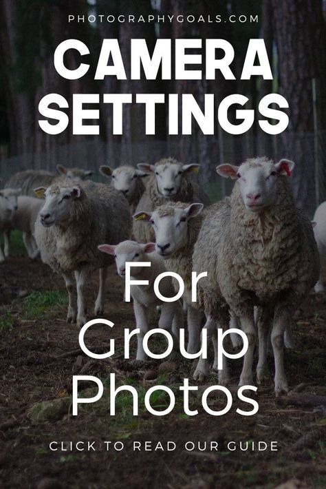 Group Photo Settings, Group Photography Settings, How To Take Group Photos, Camera Settings For Group Photos, Group Photo Camera Settings, Group Portrait Photography, Camera Settings For Large Group Photos, Group Photography Lighting Setup, Camera Setting For Outdoor Photography