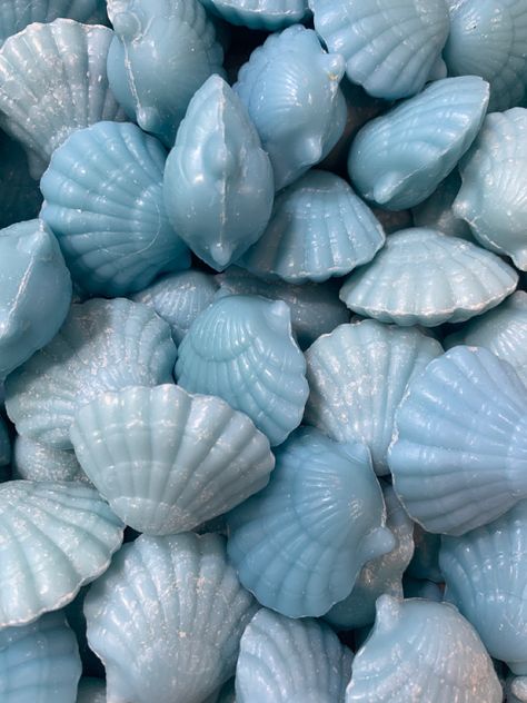 Baby Blue Asthetics, Blue Shells Aesthetic, Light Blue Images, Blue Stuff, Light Blue Aesthetic, Black And White Theme, Shell Beach, Blue Pottery, Baby Blues