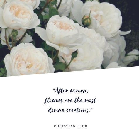 Quote about women and their beauty. Quote About Women, Woman And Flowers, About Women, Floral Designs, Woman Quotes, Sacramento, Florist, Bouquets, Floral Design