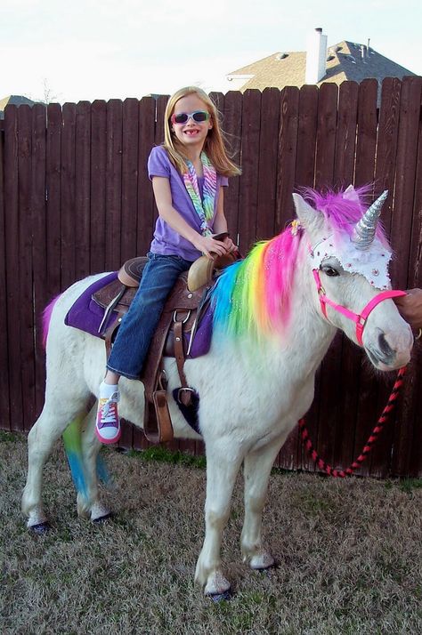 Pony rides! Unicorn Real, Nella The Princess Knight, Shawn Mendes Memes, Real Unicorn, Mini Pony, Unicorn Pictures, Pony Party, Cute Emoji Wallpaper, Cute Emoji