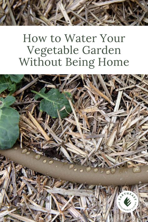 There are many reasons to install automatic watering in your garden, but none more convincing that the time saved and the freedom earned. Replacing both hoses and sprinklers with an easy-to-assemble irrigation system provides more time for you to do other things, like enjoy your garden (or your holidays). Here are a few tips to remember when installing an automatic watering system in your vegetable garden. Micro Sprinkler, Automatic Watering System, Garden Watering System, Cedar Raised Garden Beds, Self Watering Plants, Cedar Garden, Plant Tips, Drip System, Future Garden