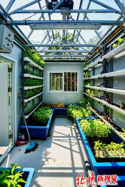 Sustainable Container Home, Container Farming, Plant Truck, House With Roof, Poly Tunnel, Container Home Designs, Shipping Container Pool, Container Homes For Sale, Micro Farm