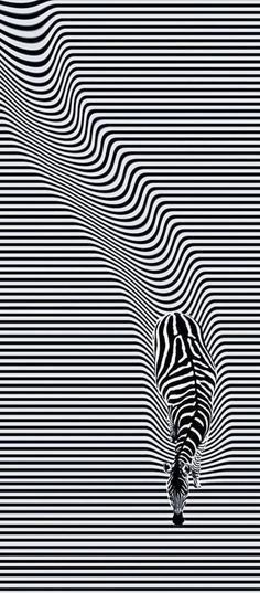 Illusion Art Black And White, Optical Illusion Background, Optical Illusion Mural, Opt Art Optical Illusions, Illusional Drawings, Optic Illusion Drawing, Optical Illusions Pictures Art, Optical Illusion Art Projects, 3d Pictures Optical Illusions