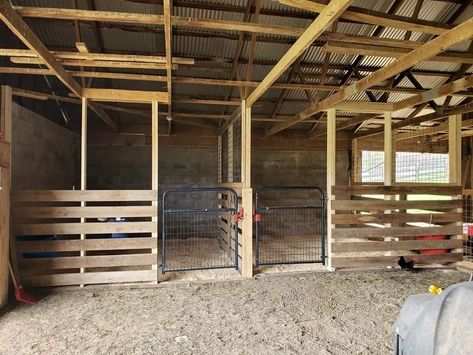 How To Build A Horse Stall, Horse Stall Ideas Cheap, Easy Horse Stalls, Horse Stalls Cheap, Horse Stall Ideas, Simple Horse Barns, Small Horse Barns, Livestock Barn, Barn Layout