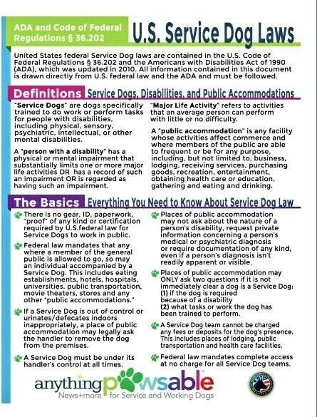 ADA Laws, Service Dogs, Therapy Dogs and Emotional Support Dogs. There ARE differences with regard to PUBLIC ACCESS, ETC.!! Psychiatric Service Dog Training, Service Dog Training Checklist, Psychiatric Service Dog, Psychiatric Services, Service Dogs Gear, Service Dog Training, Emotional Support Dog, Emotional Support Animal, Therapy Animals