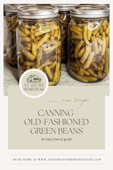 Canning green beans the old-fashioned way is easier than you might think. Learn how to preserve this simple side dish for your own pantry! Canning Green Beans, Can Vegetables, Canning Beans, Beets And Carrots, Canning For Beginners, Fruit Pie Filling, Pressure Canning Recipes, Canning Fruit, Canning Vegetables