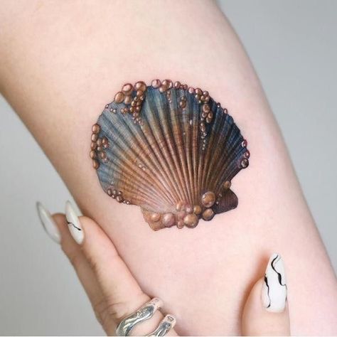 Abdomen Tattoo, Seashell Tattoos, 16 Tattoo, Shell Tattoos, Ankle Tattoos For Women, Mini Tattoo, Sea Life Art, Sweet Tattoos, Gorgeous Tattoos