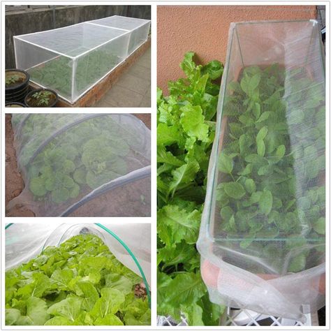 Insect Screen Window, Garden Barrier, Insect Garden, Garden Mesh, Window Mesh, Bug Screen, Garden Netting, Insect Netting, Insect Screening