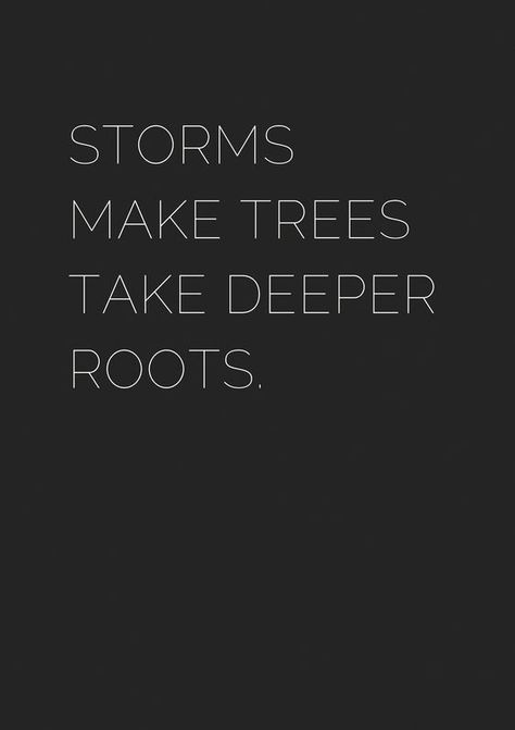 Giving Tree Quotes, Tree Quotes, Best Motivational Quotes, Words Of Encouragement, True Words, The Words, Great Quotes, Wisdom Quotes, Quotes Deep