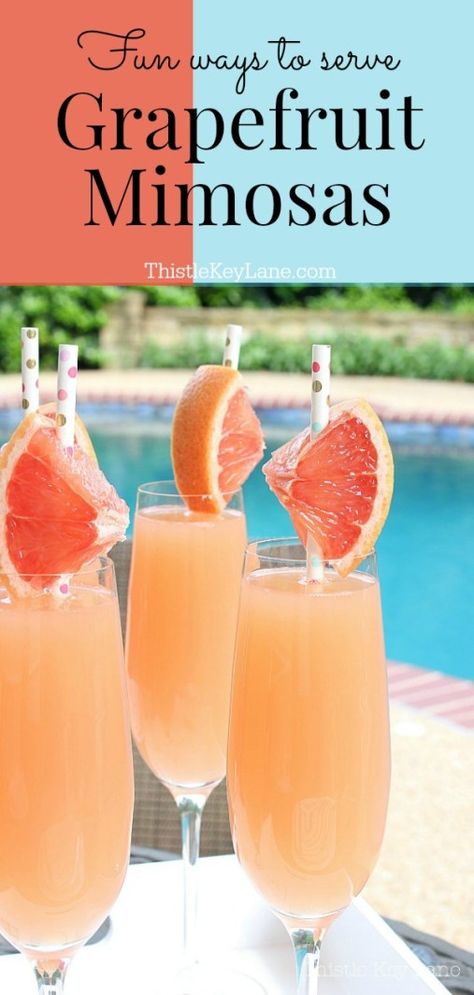 Grapefruit Mimosas are one of the most festive and refreshing drinks to make. Try these serving ideas with fresh fruit and herb garnishes. #mimosarecipe #mimosaservingideas #grapefruitmimosarecipe #cocktail #grapefruitcocktail Pomegranate Mimosa, Grapefruit Mimosa, Drinks To Make, Grapefruit Cocktail, Special Drinks, Serving Ideas, Mimosa Recipe, Keto Drinks, Sparkling Rose