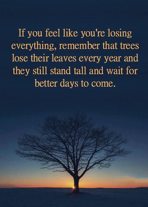 This Too Shall Pass Quote, Passing Quotes, Life Principles, Better Days Are Coming, Lessons Learned In Life, This Too Shall Pass, Louise Hay, Life Quotes Love, Better Days