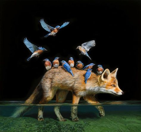 Lisa Ericson, Treading Water, Risky Business, Colossal Art, African American Art, Chiaroscuro, Photographic Art, Flora And Fauna, College Art