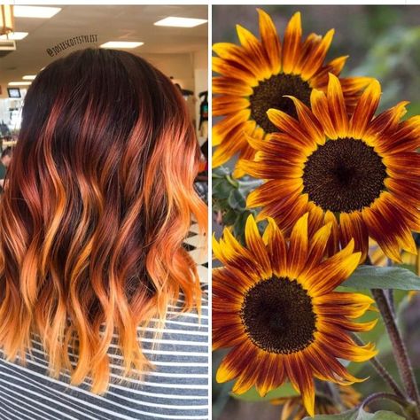 Fall Wedding Hair Color Brunettes, Fall Colored Highlights, Fall Sunset Hair Color, Vivid Hair Color Ideas For Fall, Autumn Hair Colors For Brunettes 2023, Red And Blonde Fall Hair Color, Summer/fall Hair Color, Cute Spring Hair Colors, Fun Autumn Hair Color