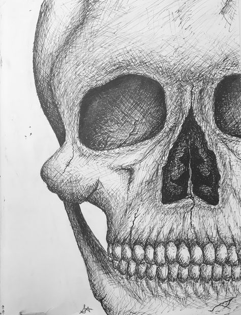 My Ink-Tober Sketch of a skull using hatching and cross-hatching. Sketch Cross Hatching, Cross Hatching Art, Cross Hatching Drawing, Ink Tober, Hatch Drawing, Idea Paint, Anatomy Studies, Life Drawing Reference, Scratchboard Art