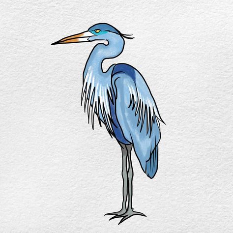 Grey Heron Drawing, Heron Drawing, Blue Heron Art, Crane Drawing, Redwork Patterns, Coastal Birds, Learn Watercolor Painting, Grey Heron, Seating Ideas