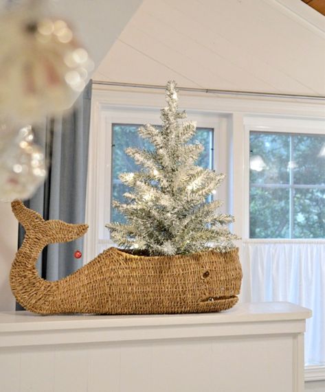 Christmas Tree in Whale Basket. Use a Cool Basket as a Pot for a Mini Christmas Tree. Featured on Completely Coastal. Decor Ideas for a Merry Coastal Christmas. Whale Basket, Holiday Lifestyle, Beach Christmas Trees, Beach Christmas Decorations, Coastal Christmas Tree, Coastal Christmas Decor, Florida Christmas, Blue Christmas Decor, Nautical Christmas