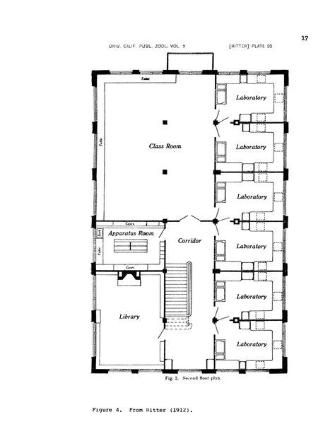 Scripps Marine Biological Laboratory, La Jolla, 1912, Irving Gill, architect  |  Upper floor plan Marine Laboratory, Laboratory Architecture Plan, Laboratory Floor Plan, Biology Laboratory, Labs Plan, Hospital Design Architecture, Laboratory Design, Research Lab, Medical Laboratory Science